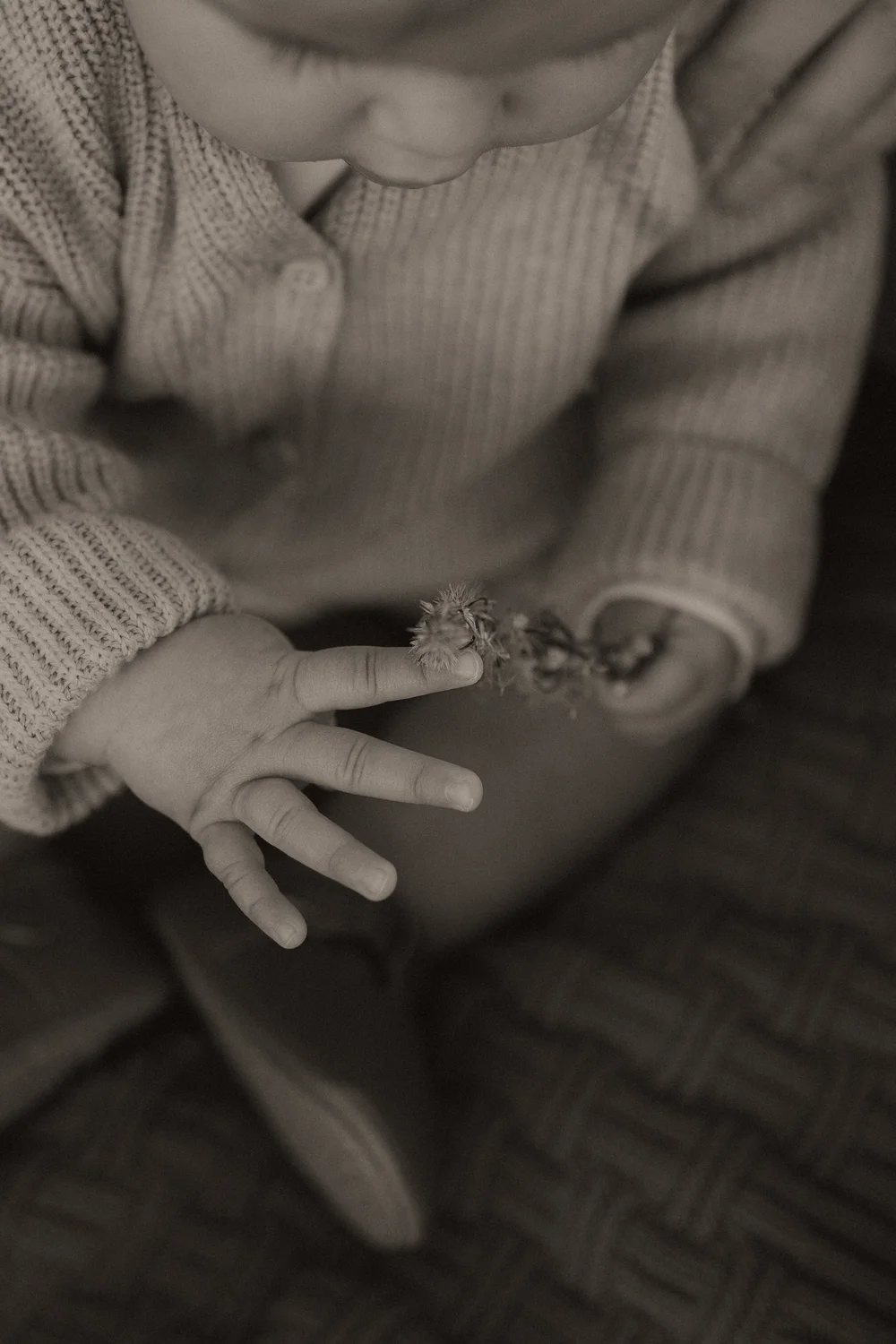Newborn and family photographer in San Diego
